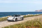 Porsche 718 Boxster GTS 4.0 2020 года (WW)
